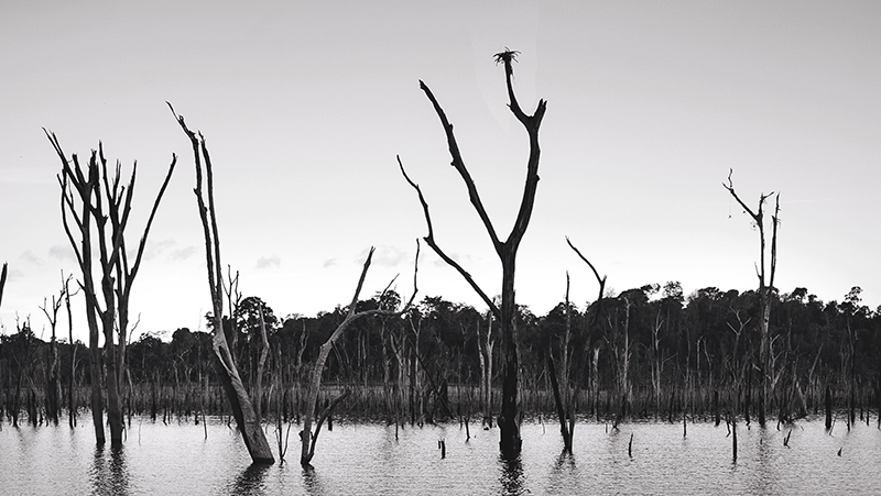 “O
Reflexo do Lago” estreia no cine Líbero seguido de debate