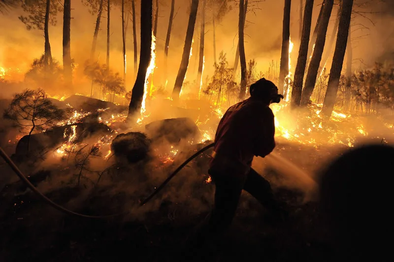 O Corpo de Bombeiros Militar do Estado do Pará vai receber R$ 45 milhões para ações de combate a incêndios florestais. Foto: Divulgação