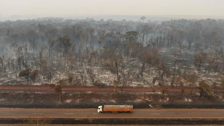 Entre as determinações está a ativação do Comando Operacional Conjunto Tucumã para atuar no combate aos incêndios. Foto: Reprodução/internet