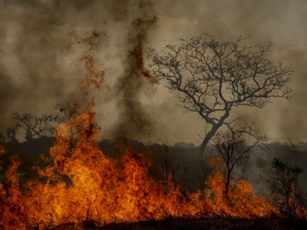 Foto: Marcelo Camargo/Agência Brasil