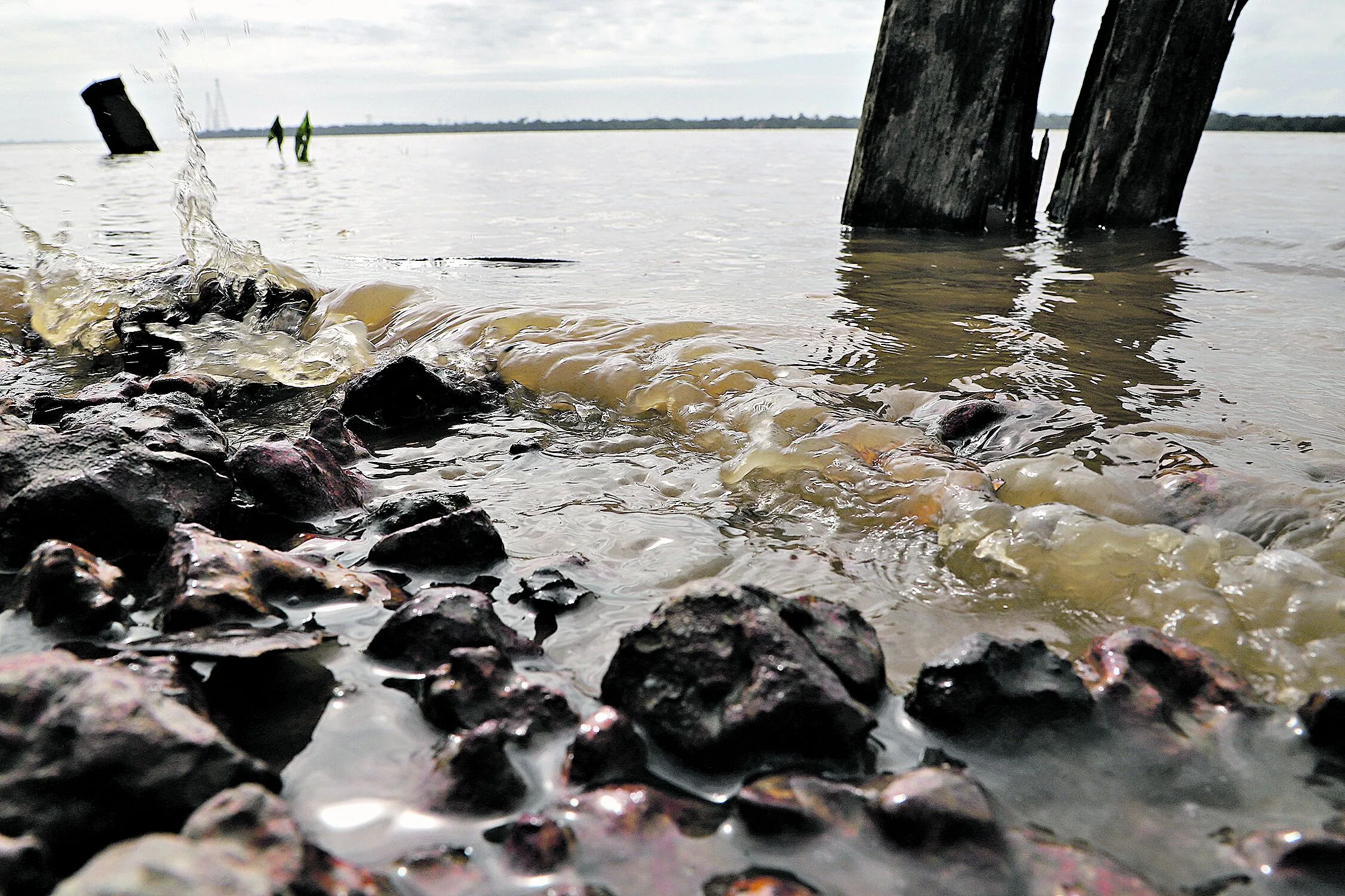 Dia Mundial de Limpeza de Rios e Praias é realizado anualmente em vários países. Em Belém, dois rios serão contemplados. Foto: Mauro Ângelo/ Diário do Pará.