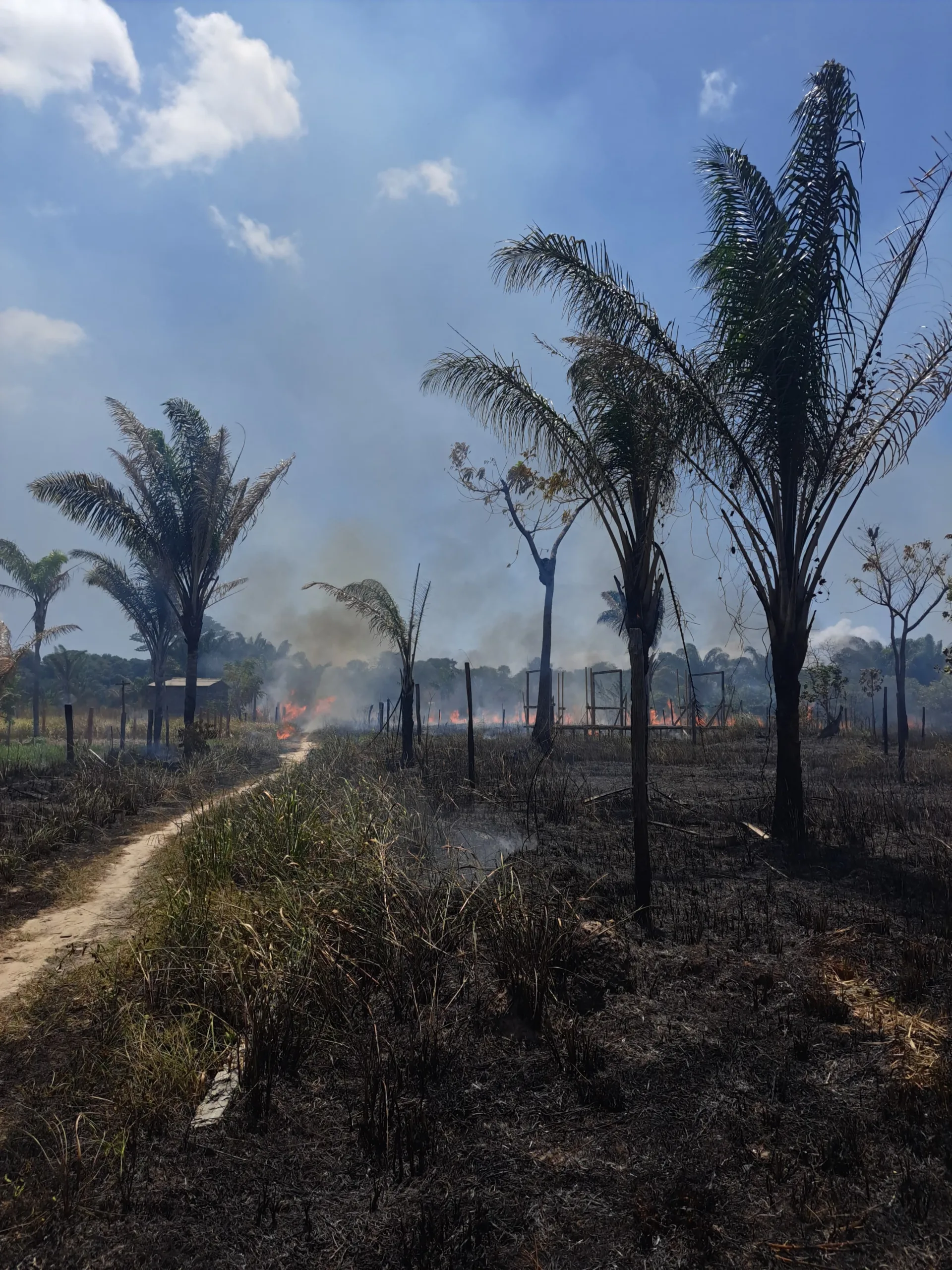 Eles disseram que estavam limpando seus respectivos terrenos, que ao botar fogo em uma pequena quantidade de lixo, fagulhas atingiram o local, o que por vez pode ter ocasionado o incidente. 