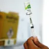 Vacina viva atenuada contra a chikungunya, VLA1553, é segura e induziu títulos soroprotetores em adolescentes. Foto:Divulgação 