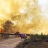 Três bombeiros morreram nesta terça-feira (17) enfrentando os incêndios florestais de grandes proporções 