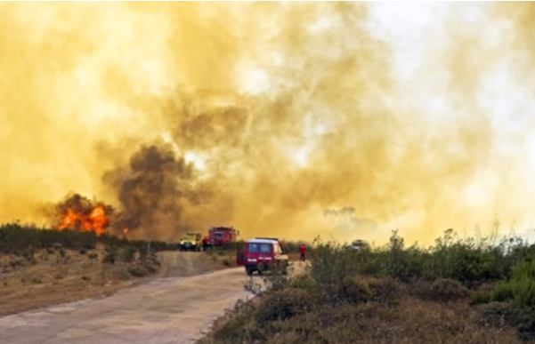 Três bombeiros morreram nesta terça-feira (17) enfrentando os incêndios florestais de grandes proporções 