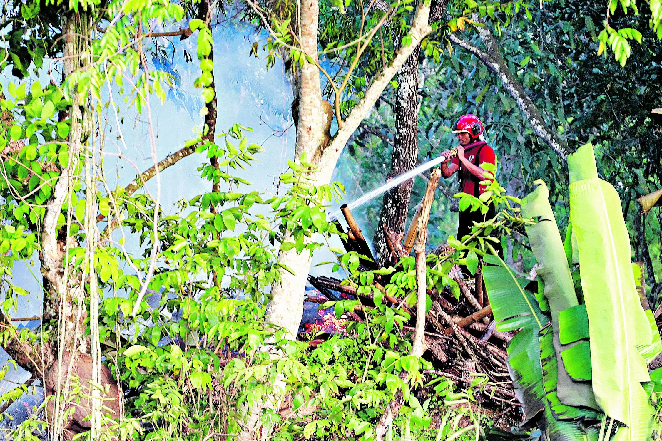 Foto: Ricardo Amanajás / Diario do Pará.