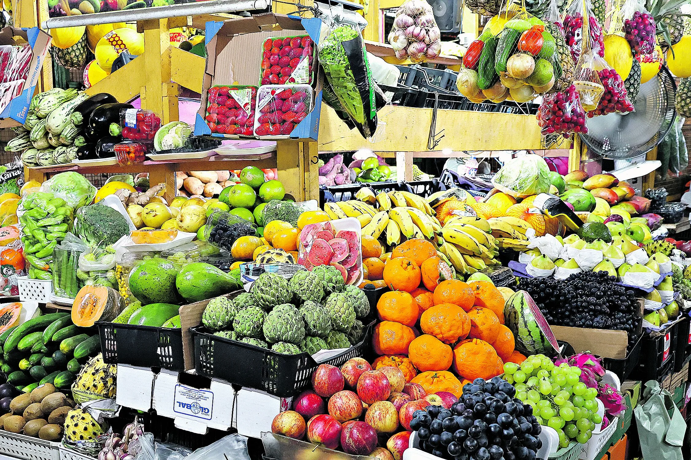 Segundo o Dieese, além de afetar a produção local, a seca também prejudica os produtos que são importados de outras regiões que sofrem com o problema, como o tomate, o feijão e o arroz. Foto: Octavio Cardoso / Diário do Pará