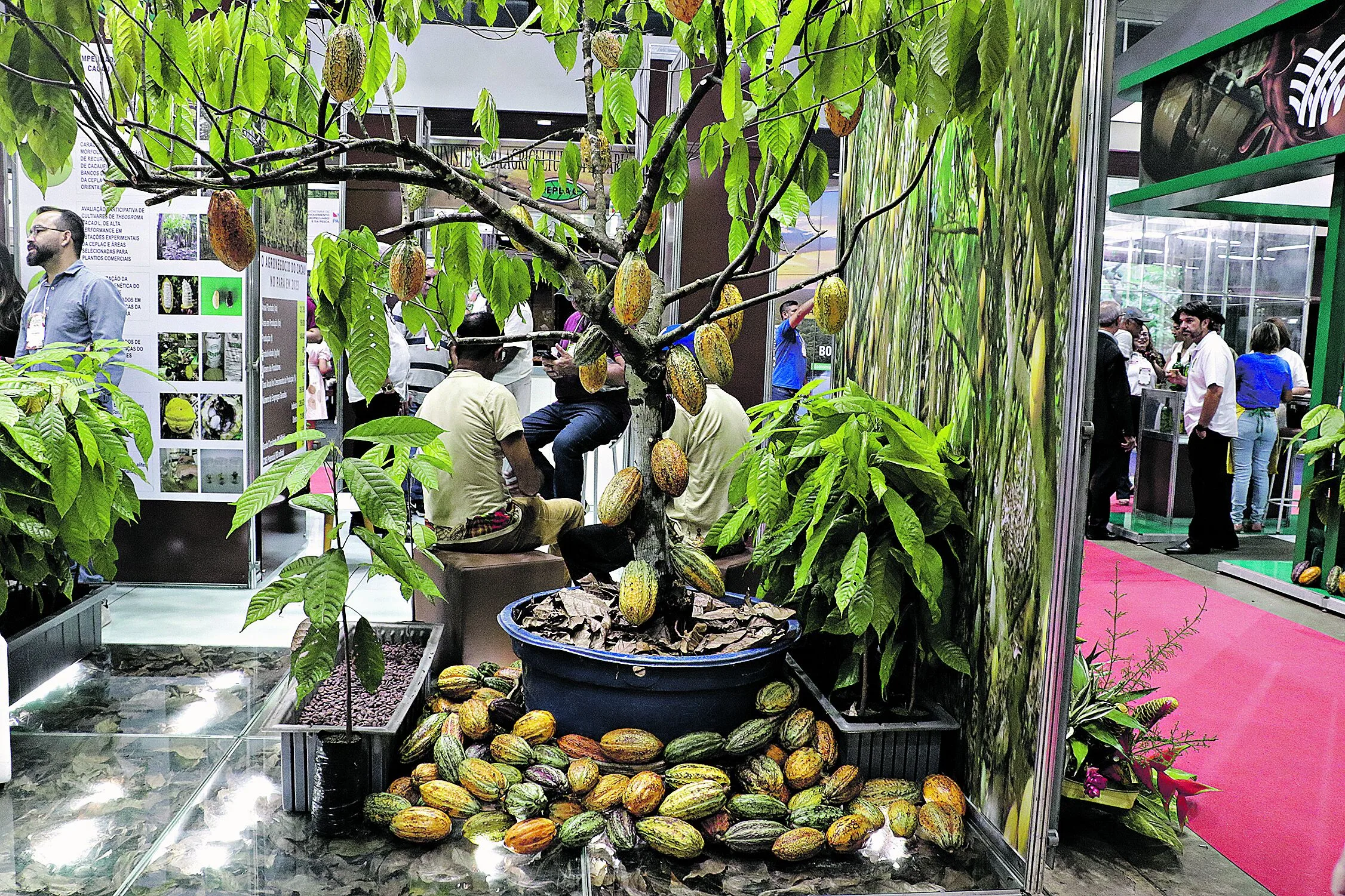 Abertura do Chocolat Amazônia e Flor Pará ocorreu ontem. Evento acontece até 29 de setembro

Foto: Antônio Melo