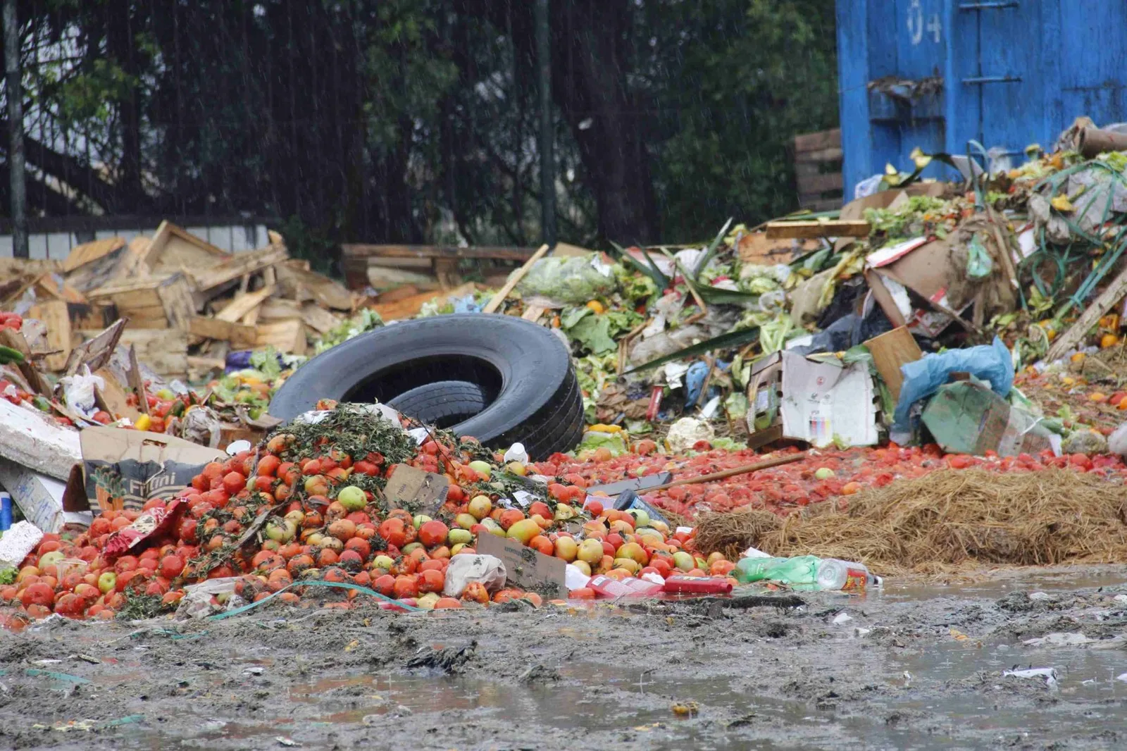 Foto: Divulgação/Cáritas