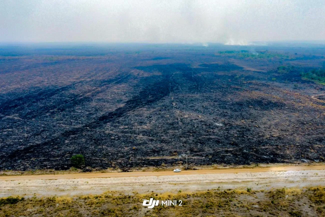 O município de Santana do Araguaia foi identificado com pontos de queimadas, o que foi constatado in loco em uma fazenda, que teve mais de 200 hectares de área atingida