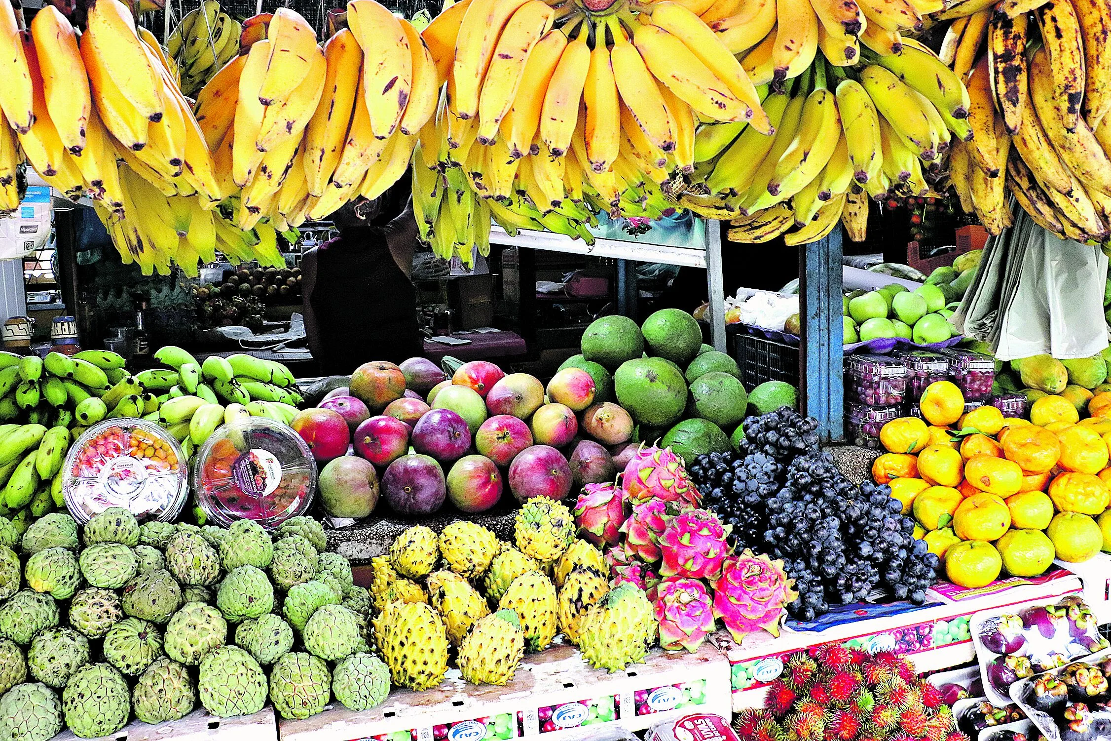 Descubra as flutuações de preços das frutas em Belém. A pesquisa revela aumentos de mais de 200% em diversas frutas no estado.