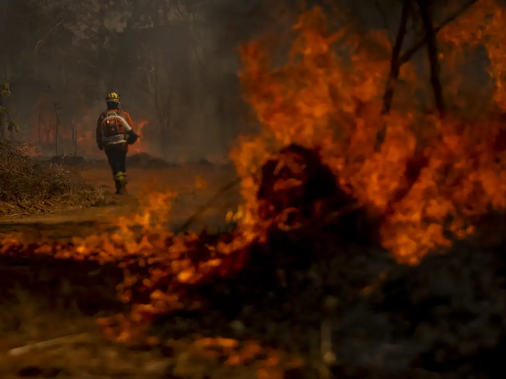 Brigadistas do Instituto Brasília Ambiental e Bombeiros do Distrito Federal combatem incêndio em área de cerrado próxima ao aeroporto de Brasília. Foto: Marcelo Camargo/Agência Brasil