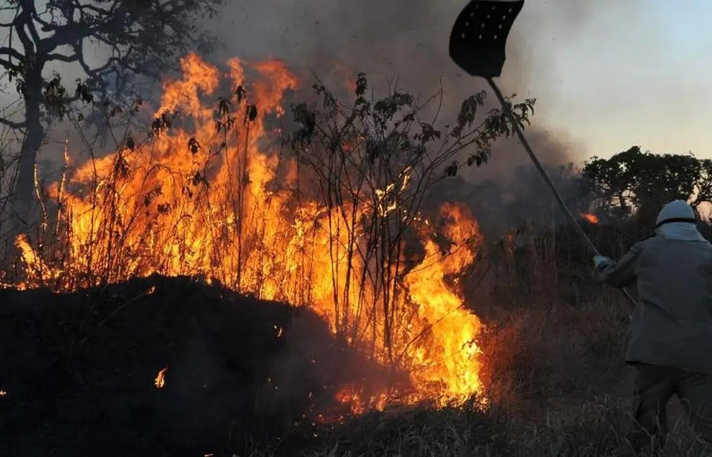 O presidente Luiz Inácio Lula da Silva divulgou nota de pesar pela morte de dois brigadistas do Instituto Brasileiro de Geografia e Estatística que ontem, 29, tentavam combater um incêndio