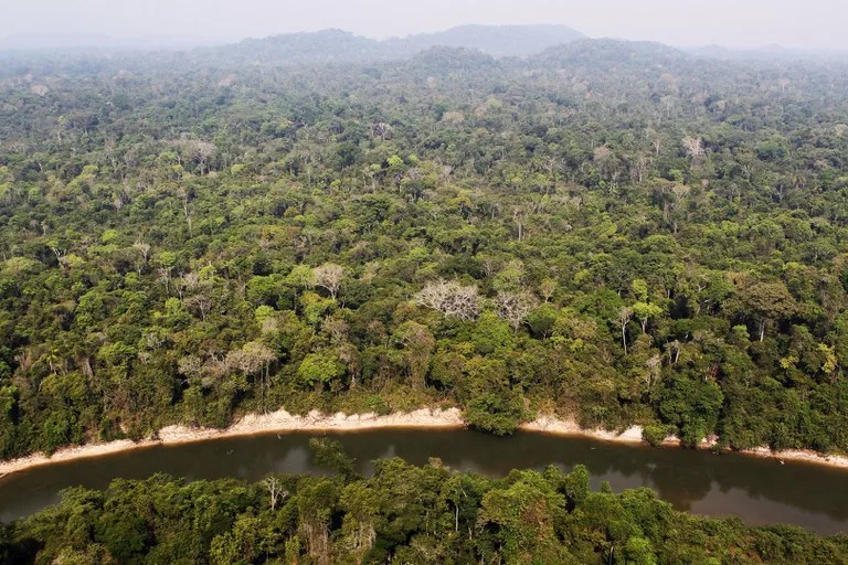 Ibama constatou a destruição de 1,5 mil hectares da Floresta Nacional de Altamira