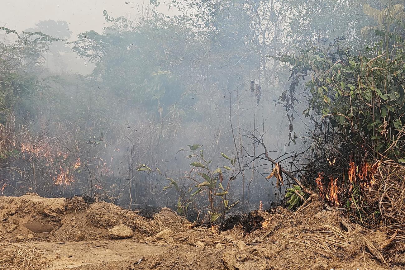 Área incendiada fica dentro de propriedade particular. Foto: Ascom Segup