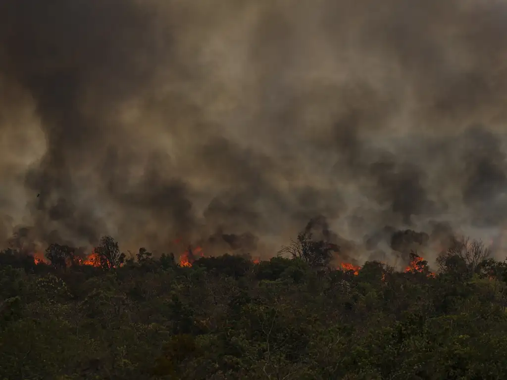 Grandes focos de incêndio atingem áreas do Parque Nacional de Brasília. Foto: Marcelo Camargo/Agência Brasil