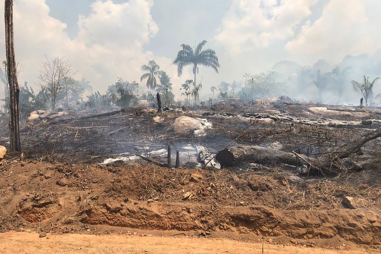 As famílias do assentamento tiveram suas moradias e plantações destruídas, além de animais mortos pelo fogo