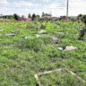 Além do mato que toma conta das sepulturas, portões permanecem abertos, gerando insegurança

. Foto: Mauro Ângelo/ Diário do Pará.