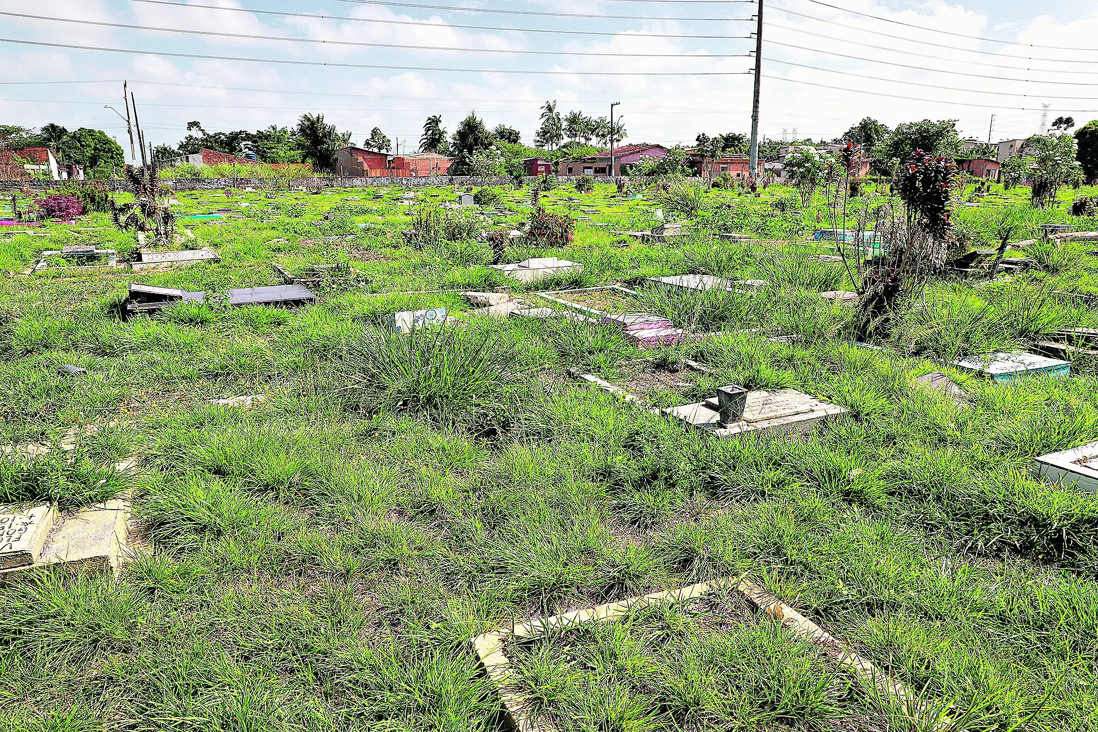 Além do mato que toma conta das sepulturas, portões permanecem abertos, gerando insegurança

. Foto: Mauro Ângelo/ Diário do Pará.