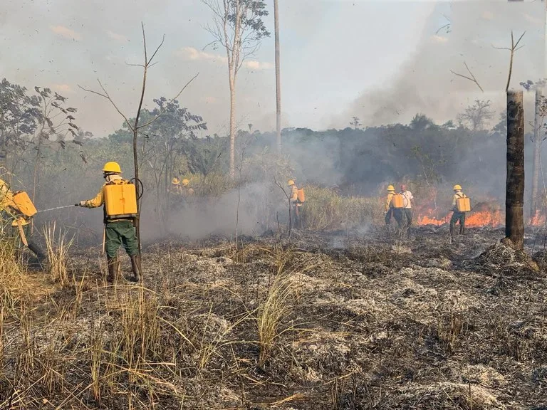 Operação no Pará: Combate a incêndios na Terra Indígena Apyterewa