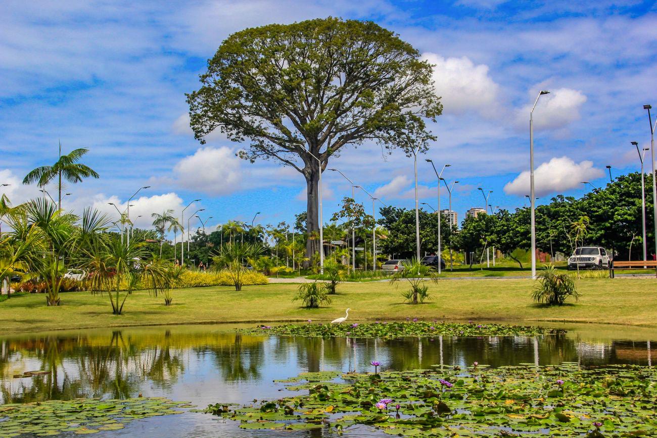 Foto: Marcelo Seabra / Agência Pará