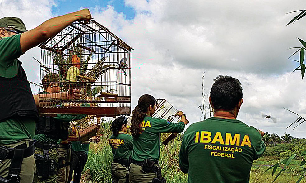 Neste domingo (6), foram realizadas as provas do concurso público do Ibama (Instituto Brasileiro do Meio Ambiente e dos Recursos Naturais Renováveis (Ibama)