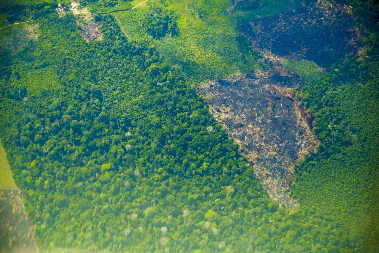 Estado segue diminuindo índices de desflorestamento em momento vital do combate a queimadas e intensificação dos efeitos das mudanças climáticas

