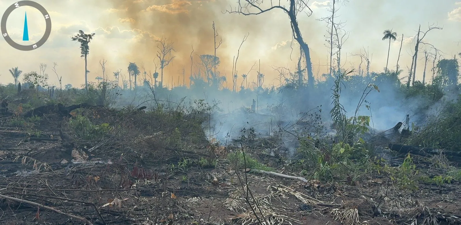 Polícia Federal realiza prisão em flagrante por posse ilegal de armas de fogo e queimada criminosa na Amazônia Legal. Foto: PF