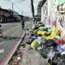 O cenário de descaso se espalha por diversas ruas e travessas do município e lixões se formam até mesmo em frente de escolas e da Secretaria Municipal de Serviços Urbanos, em uma triste rotina de vários dias

 Foto: Wagner Almeida / Diário do Pará.