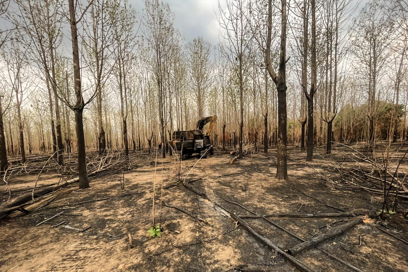 Em edição extra do Diário Oficial do Estado desta terça-feira, 1, o governador Helder Barbalho (MDB) declarou Situação de Emergência Nível II em todo o território do Estado 