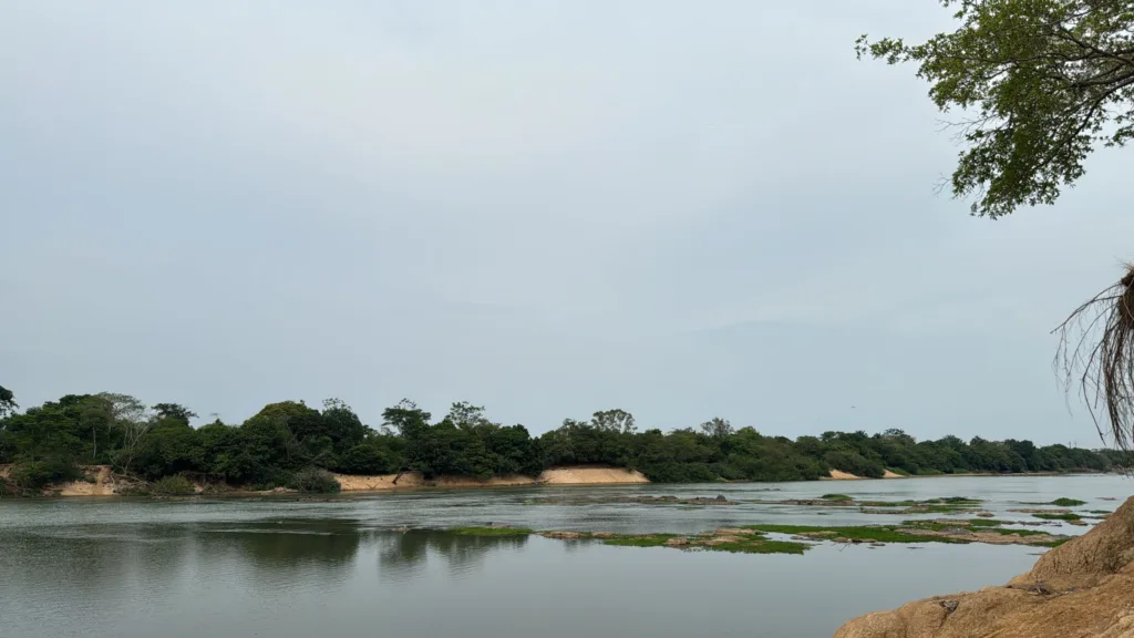 A morte em massa de peixes no Lago Vermelho e a invasão dos mexilhões dourados no Rio Tocantins têm gerado grande preocupação entre as comunidades locais, pescadores e ambientalistas.

