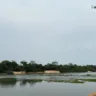 A morte em massa de peixes no Lago Vermelho e a invasão dos mexilhões dourados no Rio Tocantins têm gerado grande preocupação entre as comunidades locais, pescadores e ambientalistas.

