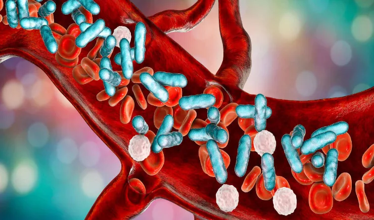 Staphylococcus aureus, conhecida por causar várias infecções. Ilustração: Divulgação