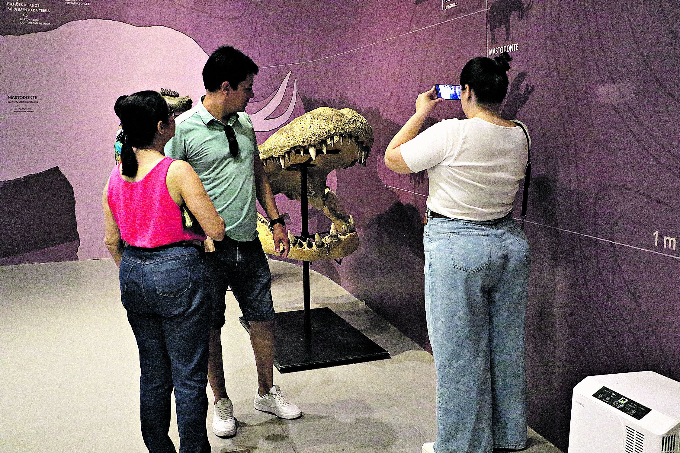 O fóssil de um jacaré pré-histórico é uma das atrações do Goeldi. Abaixo, Ana Paula Linhares, uma das responsáveis pelo acervo de Paleontologia da instituição.  
Foto Celso Rodrigues/ Diário do Pará.