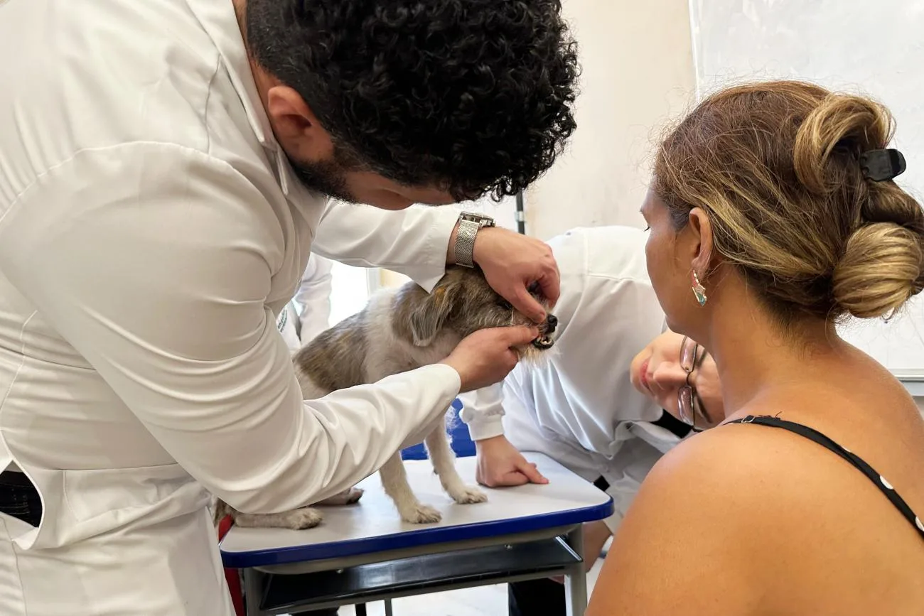 Os atendimentos veterinários na Usina da Paz Jurunas/Condor vão ocorrer às terças-feiras, a cada 15 dias

Foto: Victor Nylander (SEAC)
