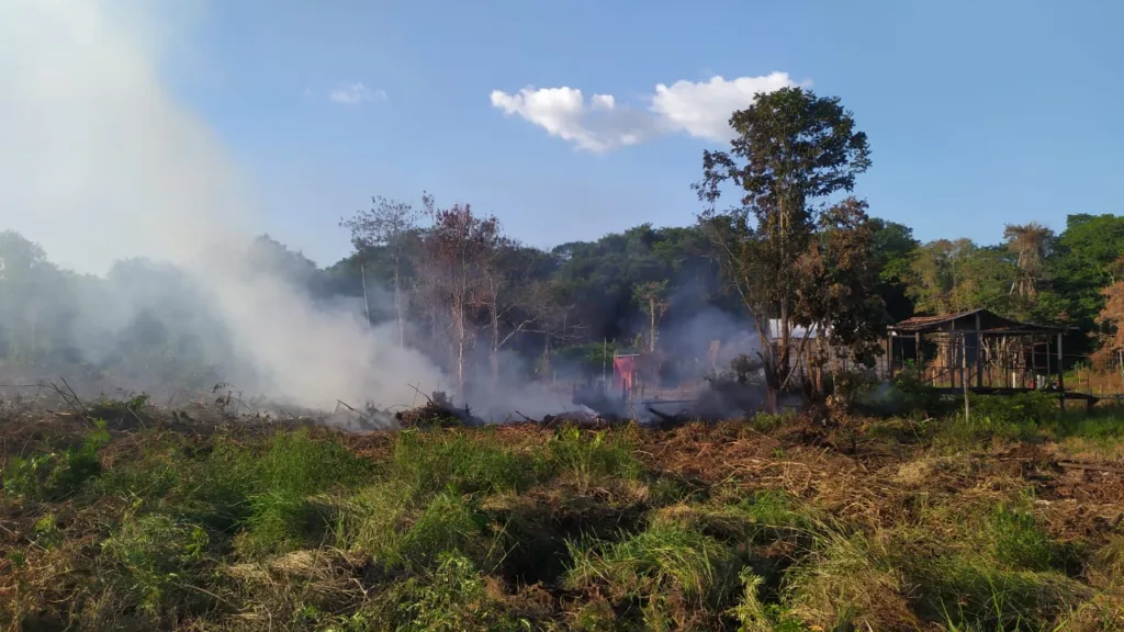 A lei estadual que prevê penalização para quem queimar áreas do Pará pegou de jeito Caio Ferreira da Silva, morador da cidade de Breves, na ilha do Marajó, que foi preso em flagrante pelo delito cometido.