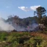 A lei estadual que prevê penalização para quem queimar áreas do Pará pegou de jeito Caio Ferreira da Silva, morador da cidade de Breves, na ilha do Marajó, que foi preso em flagrante pelo delito cometido.