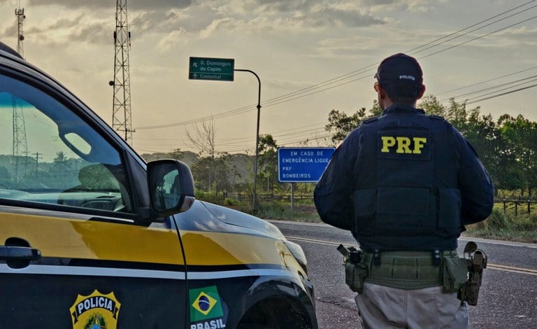 As aves não possuíam documentação que comprovasse sua legalidade.