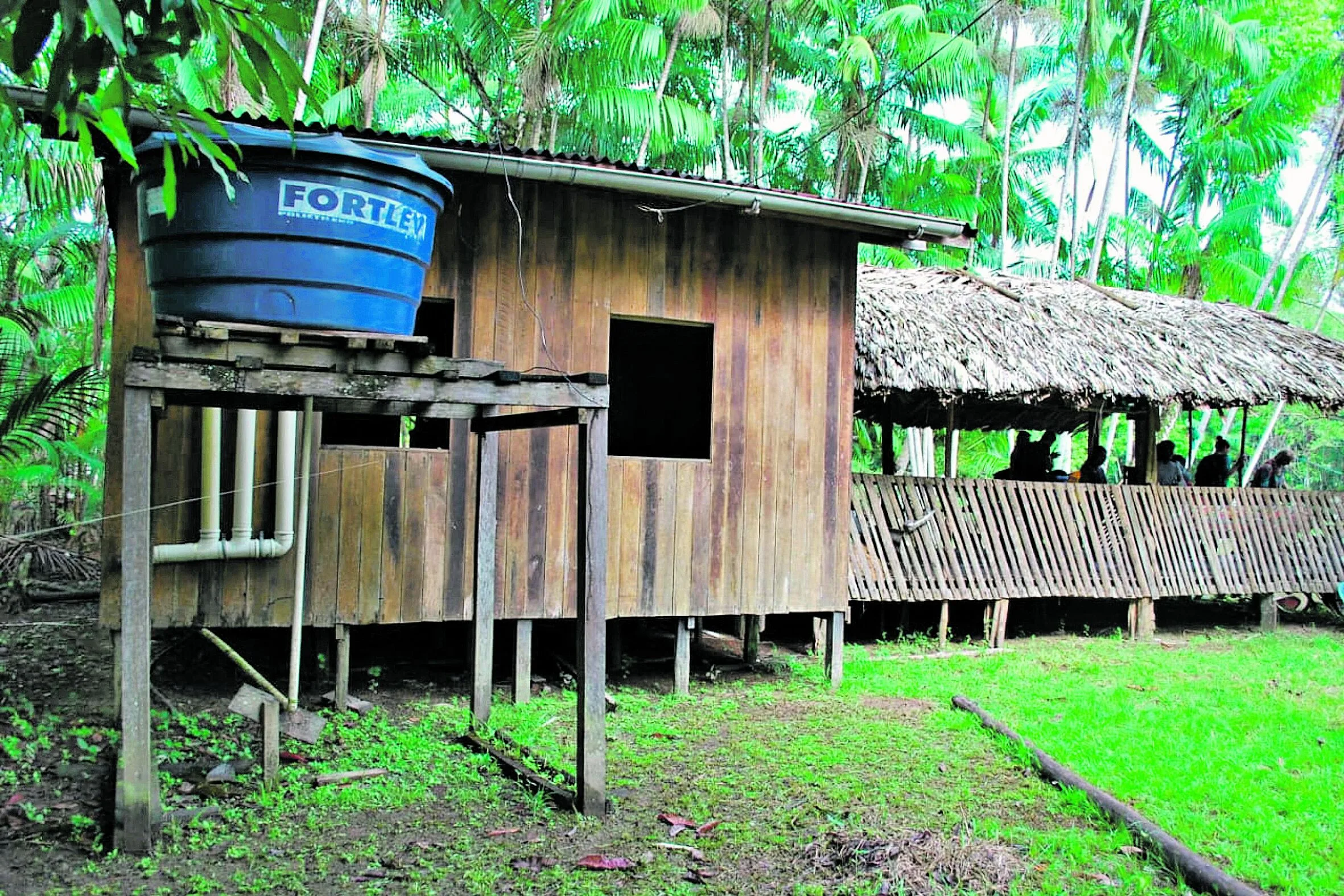 As chamadas tecnologias sociais ajudam povos da Amazônia a se manter nos seus territórios e conservar o meio ambiente, por meio da captação de água e tratamento sanitário. Saiba mais