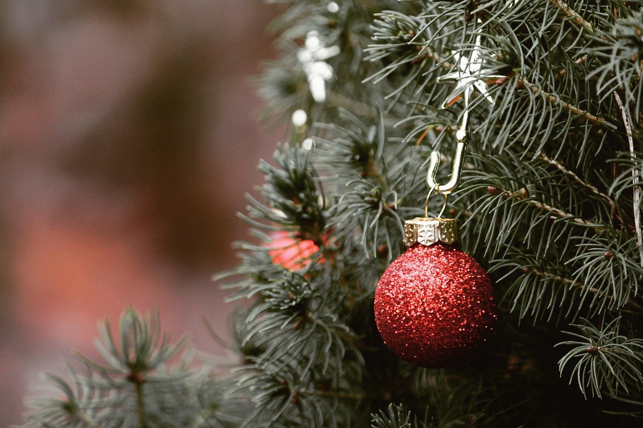 Compartilhe o espírito do Natal com frases cheias de carinho e bons desejos. Aqueça o coração de quem faz a diferença na sua vida.