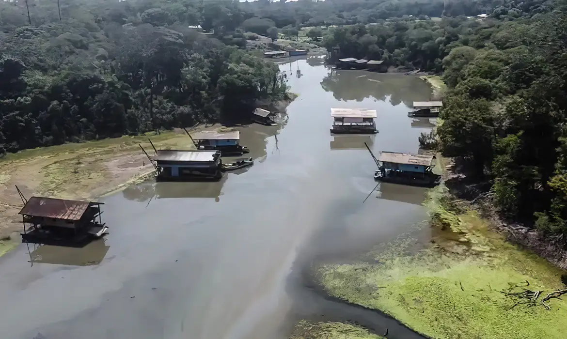 Um estudo da ONG WWF-Brasil indica que quatro bacias da Amazônia, onde estão territórios indígenas sob ameaça do garimpo ilegal, apresentam grande risco de contaminação por mercúrio, acima de níveis considerados seguros.