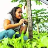 Conheça os empreendedores paraenses que além de comercializarem produtos com temperos amazônicos, a partir da agricultura familiar, também fazem o próprio gerenciamento de resíduos sólidos