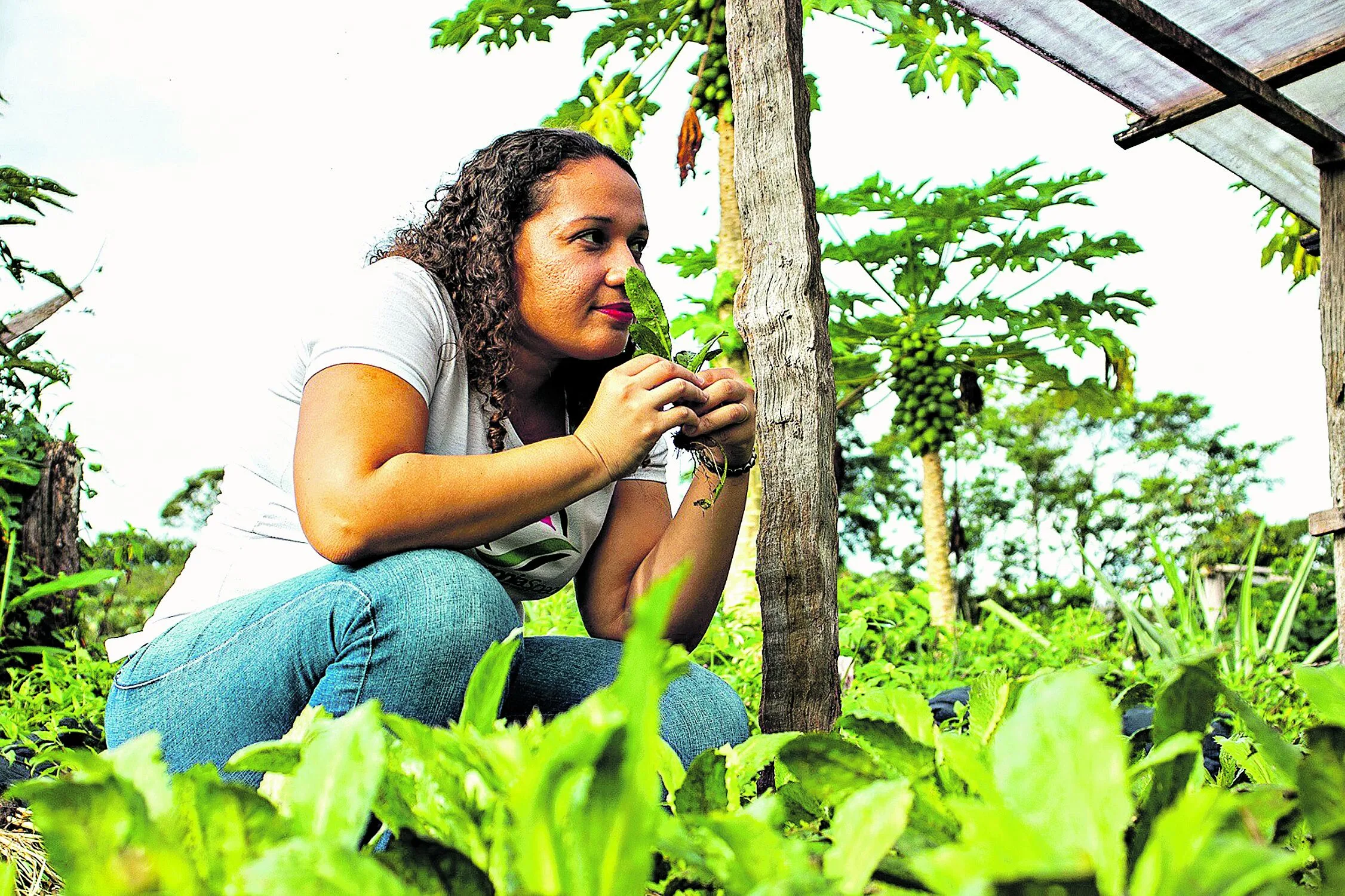 Conheça os empreendedores paraenses que além de comercializarem produtos com temperos amazônicos, a partir da agricultura familiar, também fazem o próprio gerenciamento de resíduos sólidos