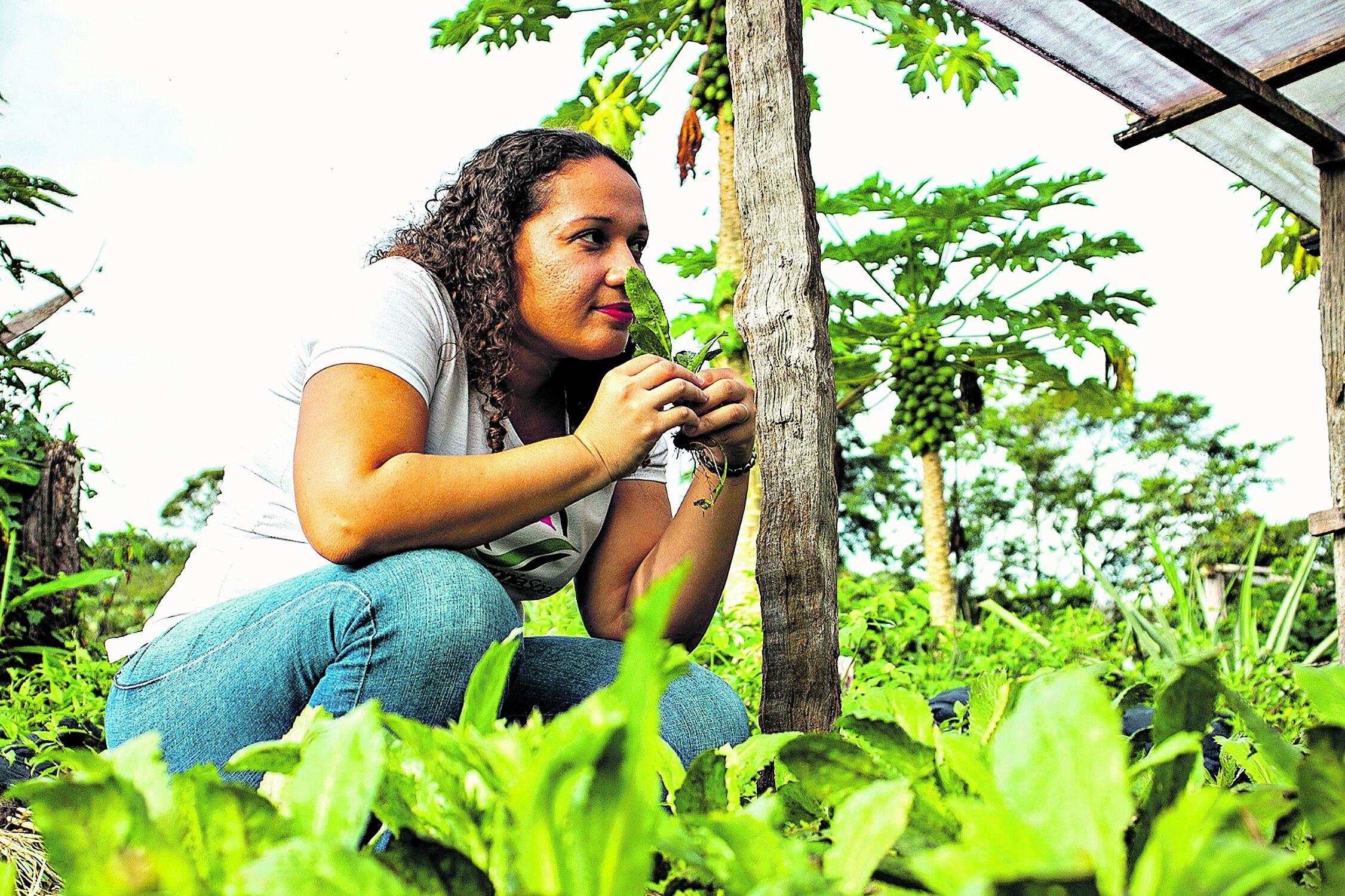 Conheça os empreendedores paraenses que além de comercializarem produtos com temperos amazônicos, a partir da agricultura familiar, também fazem o próprio gerenciamento de resíduos sólidos