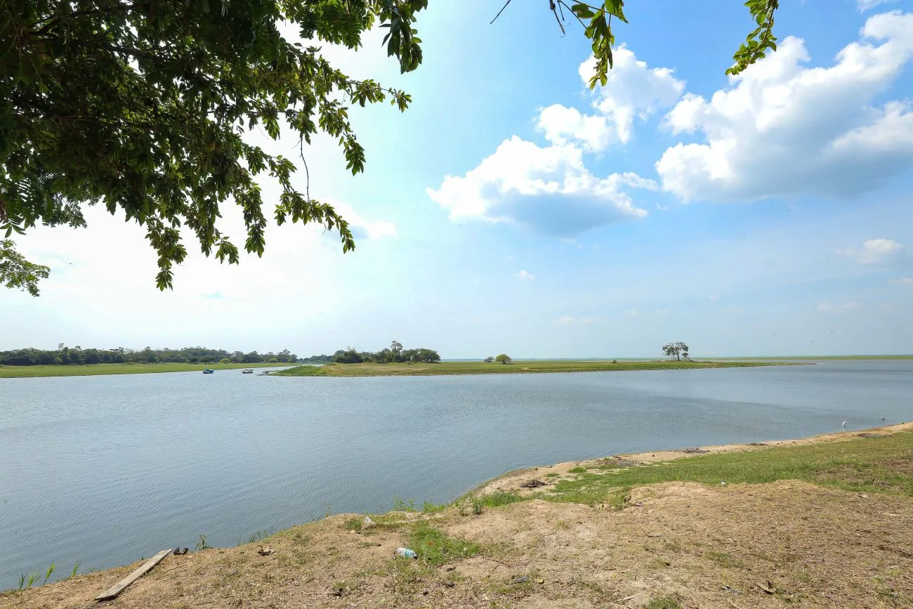 A Secretaria de Estado de Meio Ambiente e Sustentabilidade (Semas) do Pará divulgou nesta sexta-feira (29) o resultado da análise sobre a qualidade da água do Lago Aramanaí, em Santarém, após relatos de mortandade de peixes na região