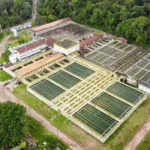 A Companhia de Saneamento do Pará (Cosanpa) celebrou nesta sexta-feira, 20, seus 54 anos de trajetória, marcada por iniciativas direcionadas ao bem-estar de mais de 2 milhões de pessoas em todo o território paraense.