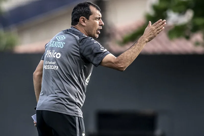 Carille vai comandar o Vasco. Foto: Ivan Storti/Santos FC