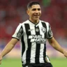 Botafogo busca o título do Brasileirão contra o Internacional após vitória histórica na Libertadores. Saiba mais sobre essa disputa. Foto: Vitor Silva/Botafogo