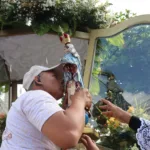 Círios movimentam fé e tradição nos municípios da Arquidiocese de Belém