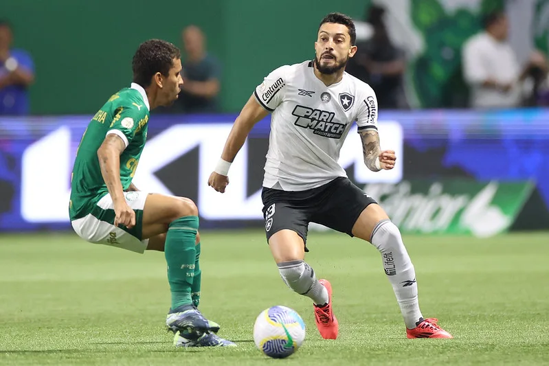 Palmeiras e Botafogo disputam o título. Foto: Vítor Silva/Botafogo